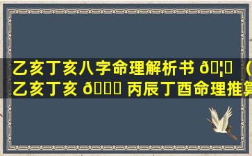 乙亥丁亥八字命理解析书 🦆 （乙亥丁亥 🐞 丙辰丁酉命理推算）